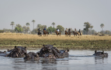 Botswana-Okavango Delta-Okavango Big Five Safari - 6 days